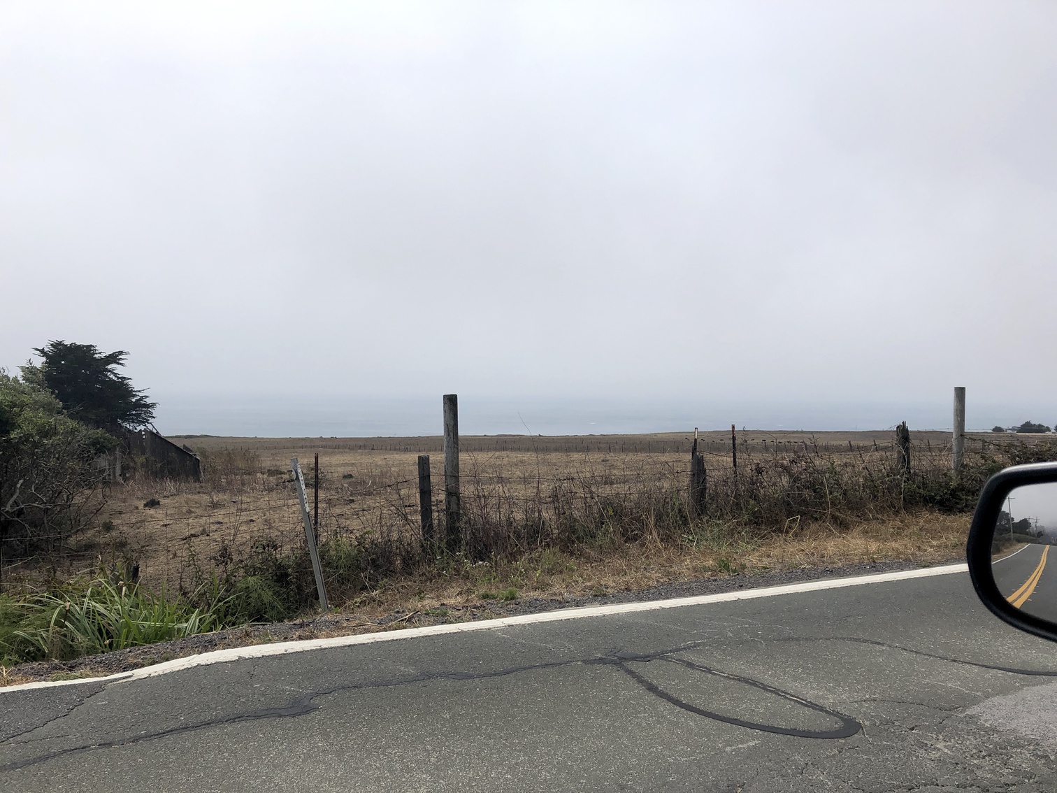 A field with some cows by the coast