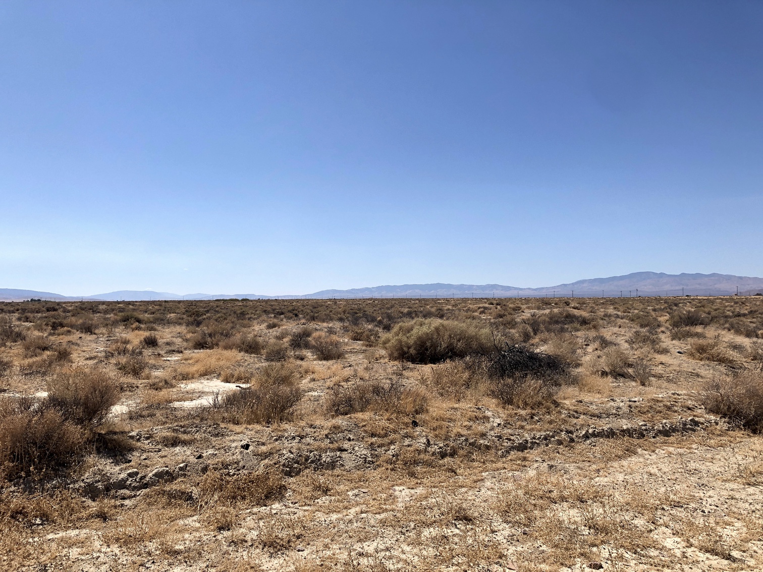 The desert near Lancaster